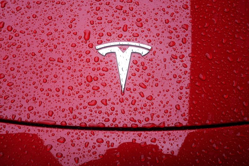 Tesla shares could swing 10 either way after earnings, options show