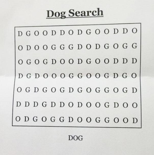 Can You Solve &quot;The World's Hardest Word Search&quot;? | 101 WIXX