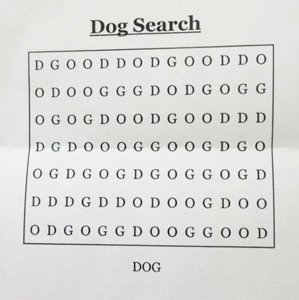 Can You Solve The World s Hardest Word Search 101 WIXX