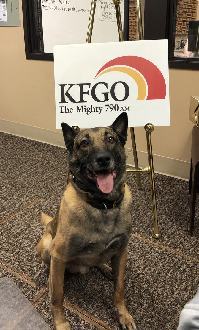 k9 falco