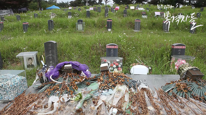 ▲ 5.18민주화운동의 희생자들이 안치되었던 망월동 구 묘역의 현재 모습