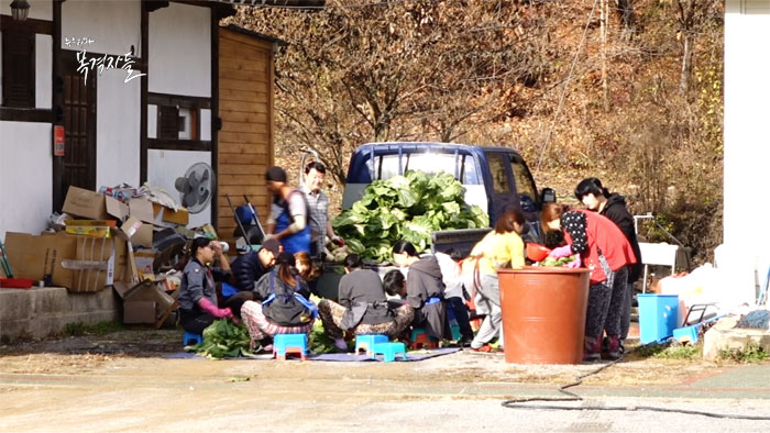 ▲ 지난 11월 중순, 해밀학교 아이들과 교사, 지역주민들은 올 한해 손수 키워온 배추, 무 등으로 김장을 했다.