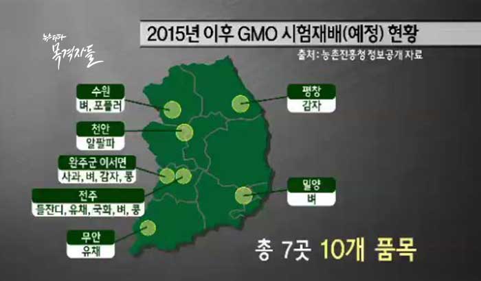 ▲2015년 이후 전국 7곳에서 10개 GMO 품목의 작물이 시험 재배되고 있다.