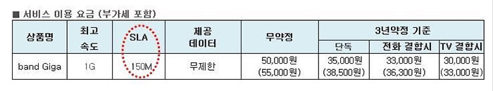 ▲ SK브로드밴드 ‘밴드 기가’ 최고 속도와 SLA 보장 속도.