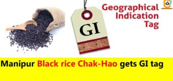 C:\Users\admin\Desktop\Manipur-Black-rice-Chak-Hao-gets-GI-tag-340x160.jpg