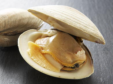 Fried Clam Sandwiches | Cookstr.com