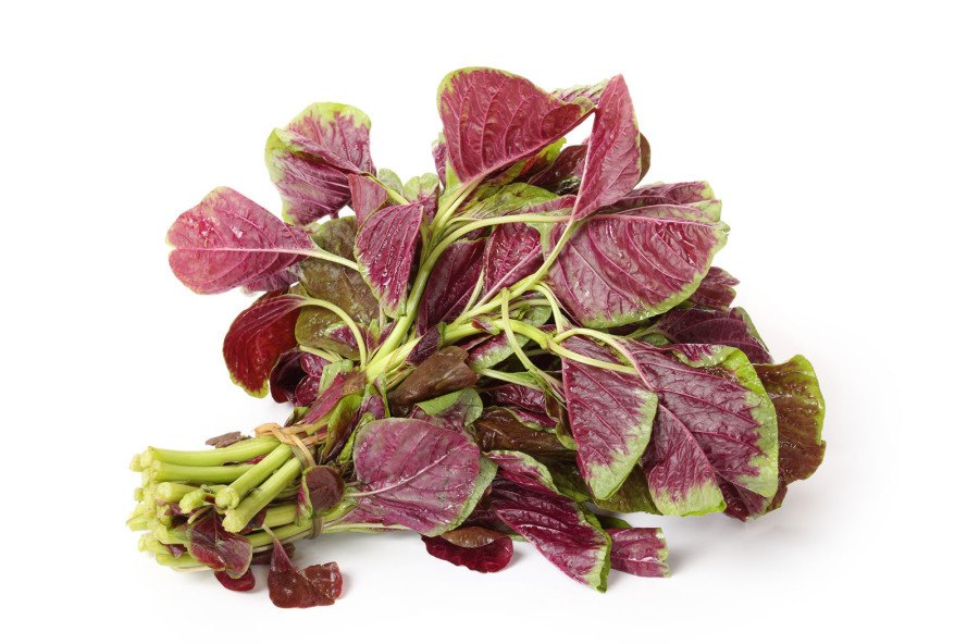 amaranth, 6 uses for amaranth, food, nutrition, healthy eating, health-conscious, alternative food, amaranth roots, protein, amaranth leaves