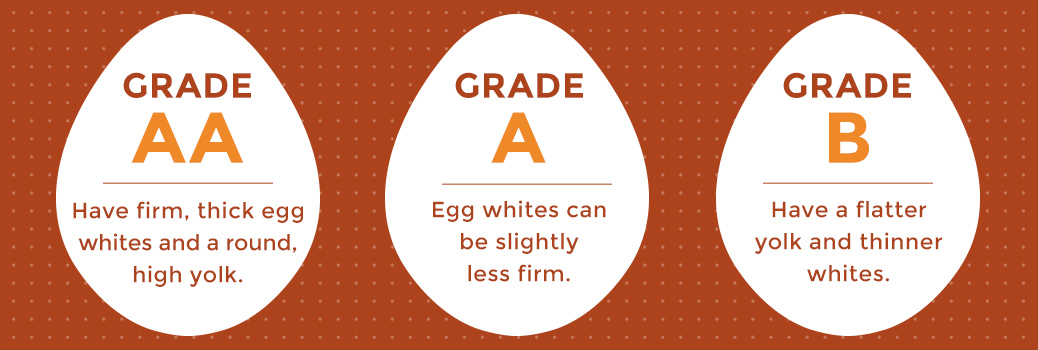 Complete Egg Buying Guide | Sauder Eggs Explains Different Egg Types