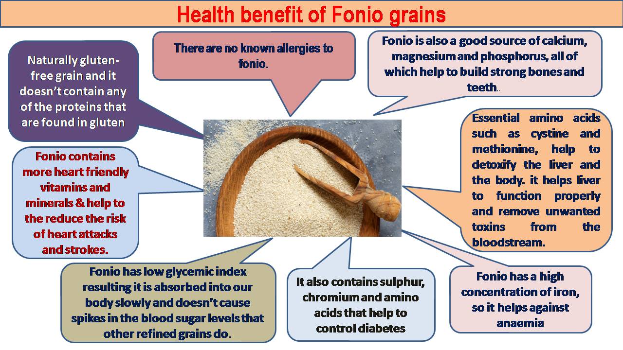 C:\Users\admin\Desktop\CHEF OOKUL DETAILS\FOOD PIC FOR MY APP\fonio grain-health benefit.jpg