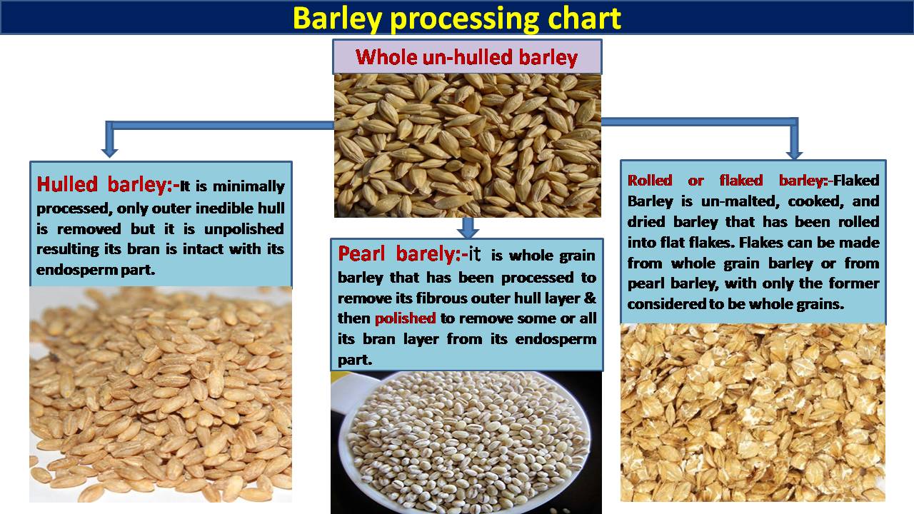 C:\Users\admin\Desktop\CHEF OOKUL DETAILS\FOOD PIC FOR MY APP\barley processing chart.jpg