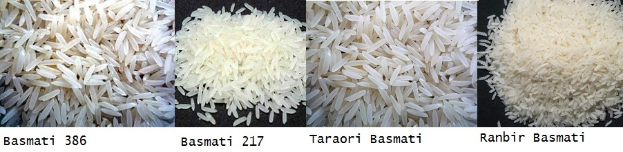 C:\Users\admin\Desktop\Basmati.jpg