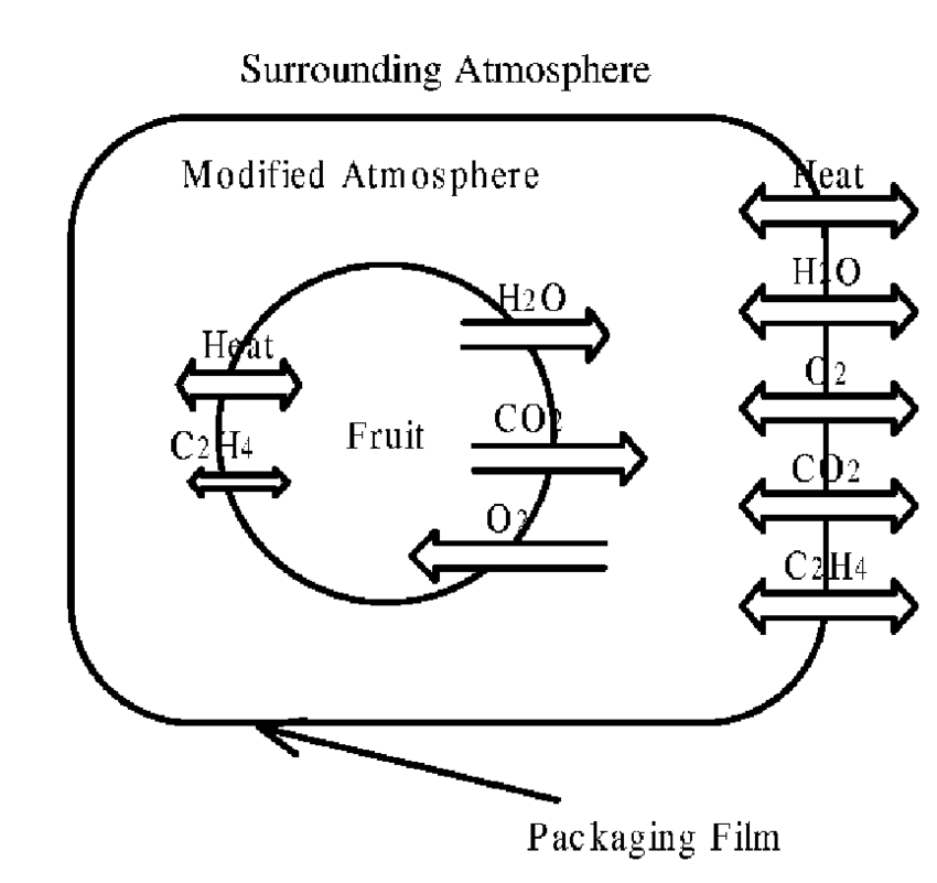 C:\Users\admin\Desktop\Schematic-concept-of-Modified-Atmosphere-Packaging.png