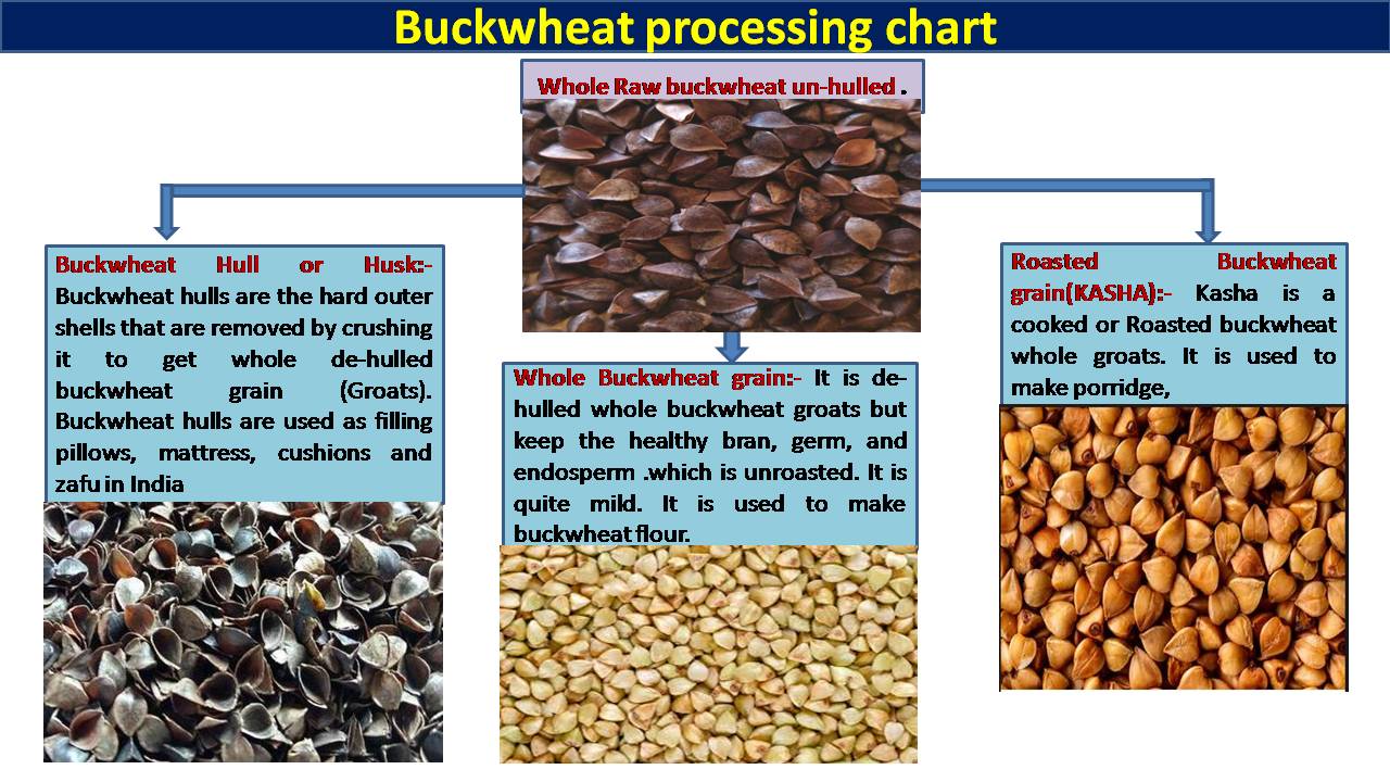 C:\Users\admin\Desktop\CHEF OOKUL DETAILS\FOOD PIC FOR MY APP\buckwheat processing chart.jpg