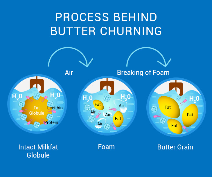 How Does a Butter Churn Work? - Milky Day Blog