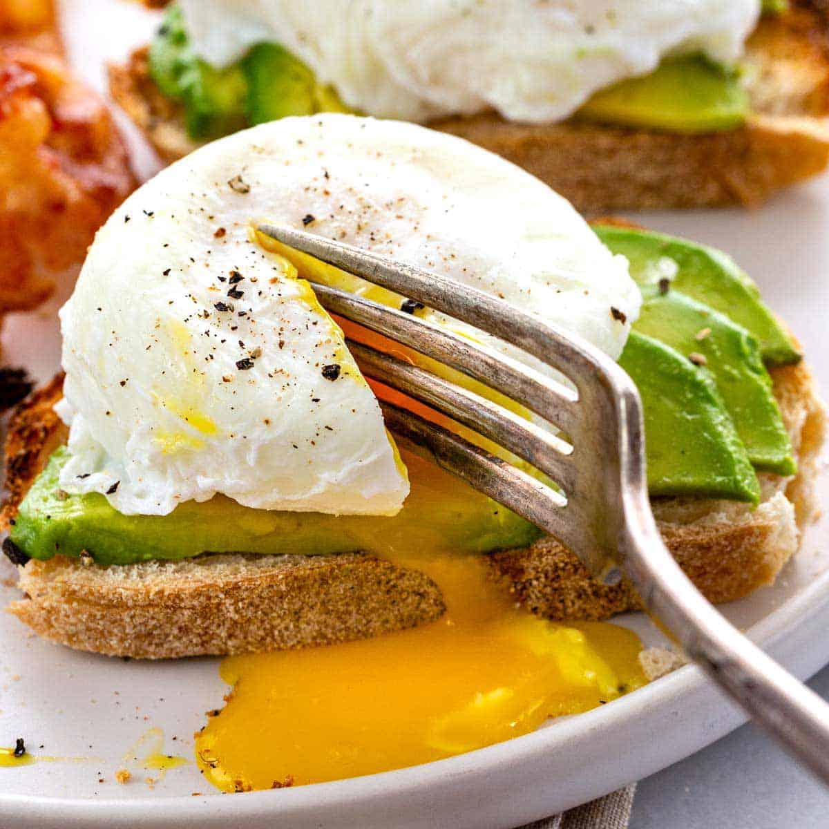 Poached Eggs - Jessica Gavin