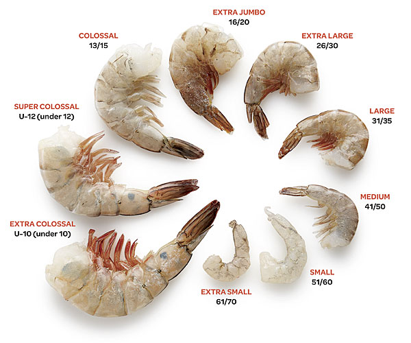 With Shrimp, Size Matters - Article - FineCooking