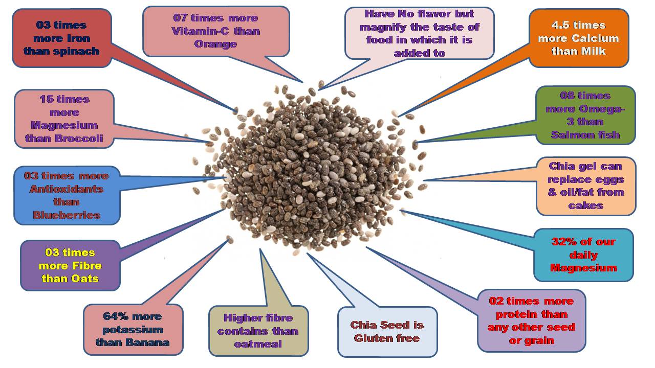 C:\Users\admin\Desktop\CHEF OOKUL DETAILS\FOOD PIC FOR MY APP\CHIA SEED CHARACTERISTIC.jpg