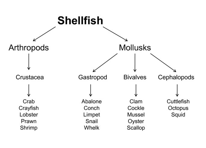 Not all shellfish "allergy" is allergy! | Clinical and ...