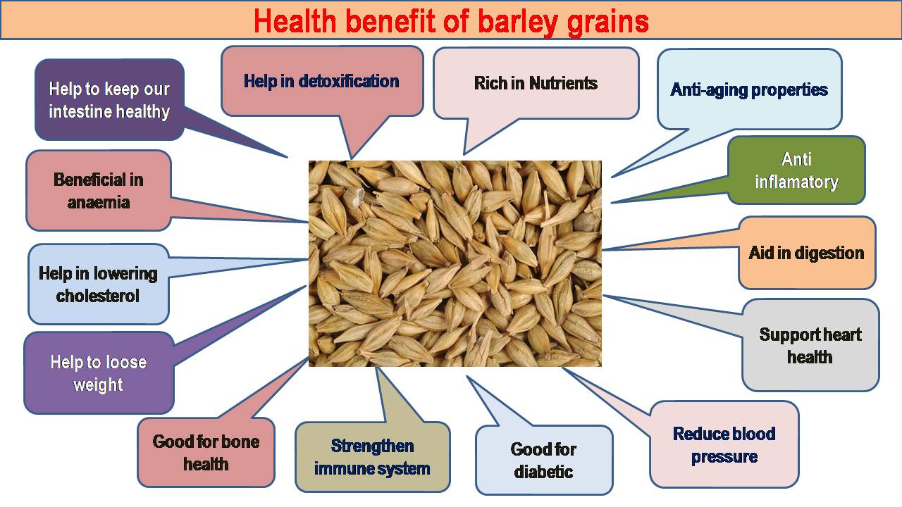 C:\Users\admin\Desktop\CHEF OOKUL DETAILS\FOOD PIC FOR MY APP\barley health benefit.jpg