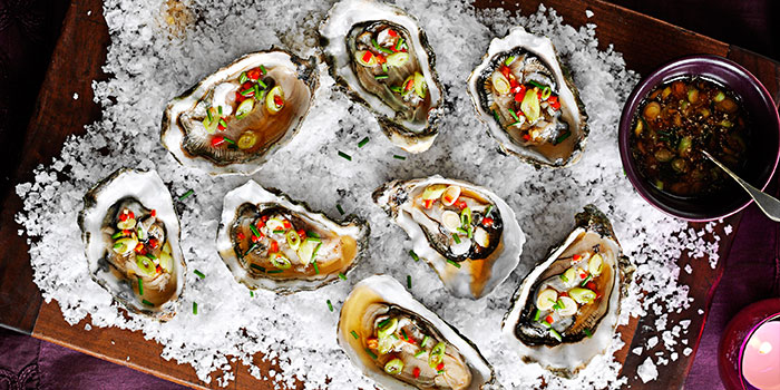 Oysters on rock salt