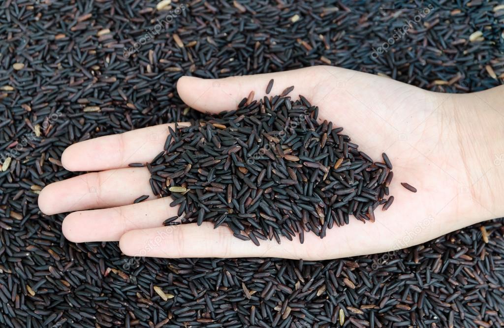 C:\Users\admin\Desktop\depositphotos_41509219-stock-photo-thai-black-jasmine-rice-rice.jpg