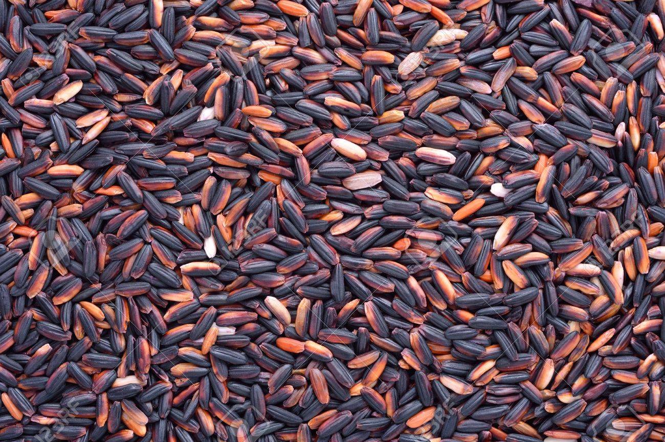 C:\Users\admin\Desktop\17677885-black-glutinous-rice-black-sticky-rice-black-rice.jpg