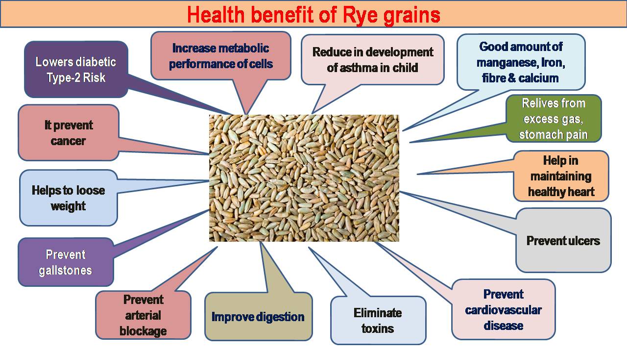 C:\Users\admin\Desktop\CHEF OOKUL DETAILS\FOOD PIC FOR MY APP\Rye grains health benefit.jpg