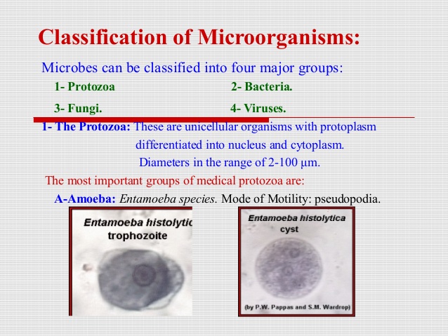 Classification of microorganisms lecture 2