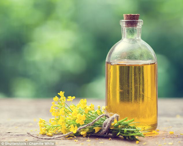 Canola oil worsens memory loss and causes weight gain | Daily Mail ...