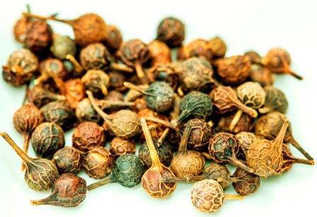 Kankola Piper cubeba Uses, Remedies, Research, Side Effects