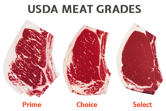 A Lesson in Steak Cuts | Foodie