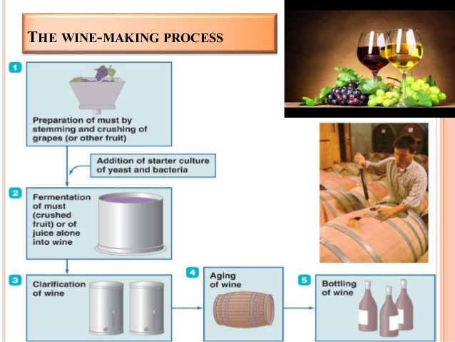 Role of Microorganisms in Preparation of Certain Foods, in Spoilage o…