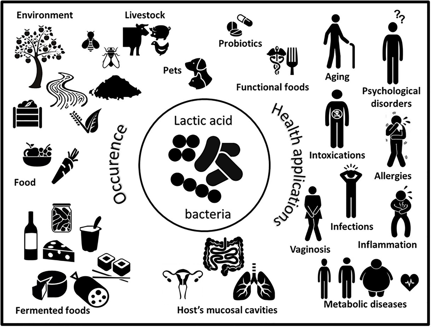 Frontiers | Occurrence and Dynamism of Lactic Acid Bacteria in ...