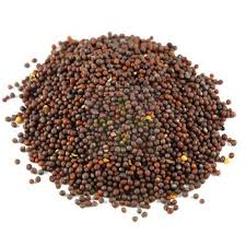Wholesale, Import, Private Label & Dropshipping Sarepta brown ...