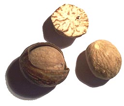 Nutmeg - Wikipedia