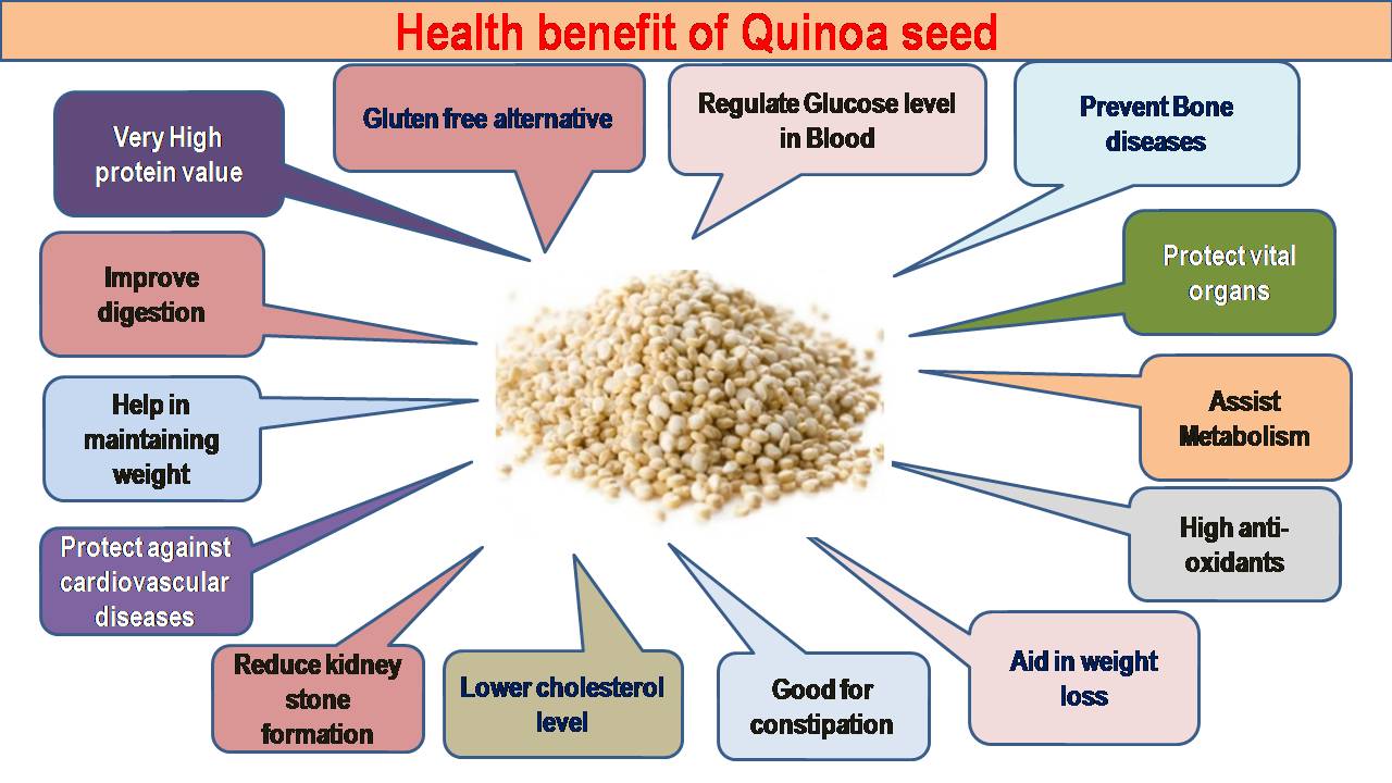 C:\Users\admin\Desktop\CHEF OOKUL DETAILS\FOOD PIC FOR MY APP\Quinoa seed-Health benefit .jpg