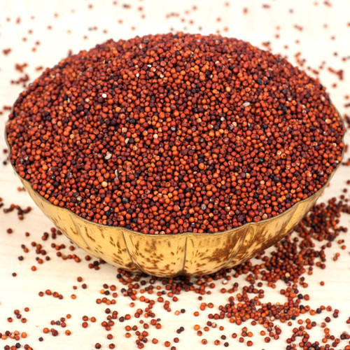 C:\Users\admin\Desktop\finger-millet-500x500.jpg