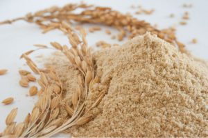 RiceBran Technologies Showcases Full Line of Organic Rice Bran ...