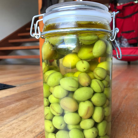 How To Cure Your Own Fresh Olives