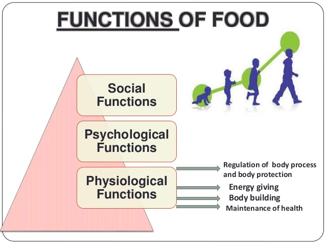 Food science
