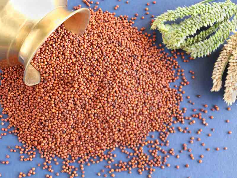 C:\Users\admin\Desktop\Health-benefits-of-ragi.jpg