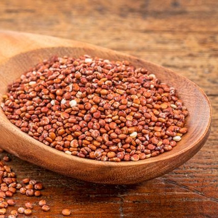 C:\Users\admin\Desktop\K640_Red-quinoa.jpg