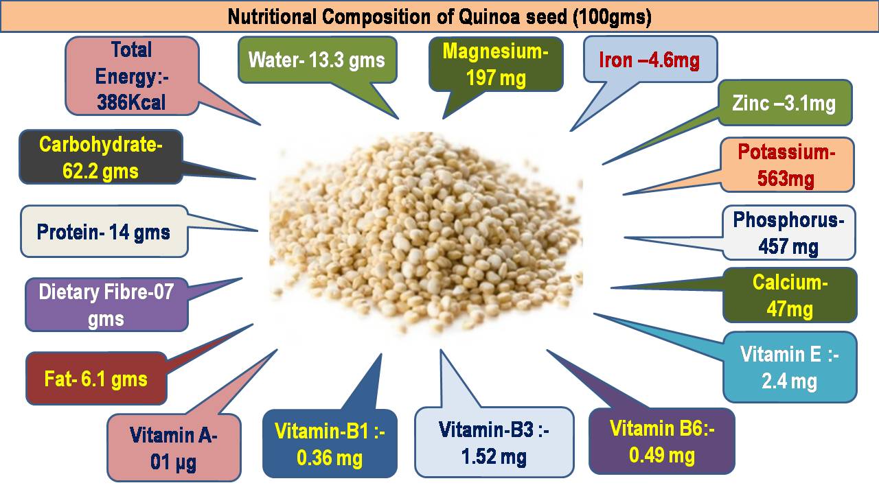 C:\Users\admin\Desktop\CHEF OOKUL DETAILS\FOOD PIC FOR MY APP\Quinoa seed-Nutritional compositions.jpg
