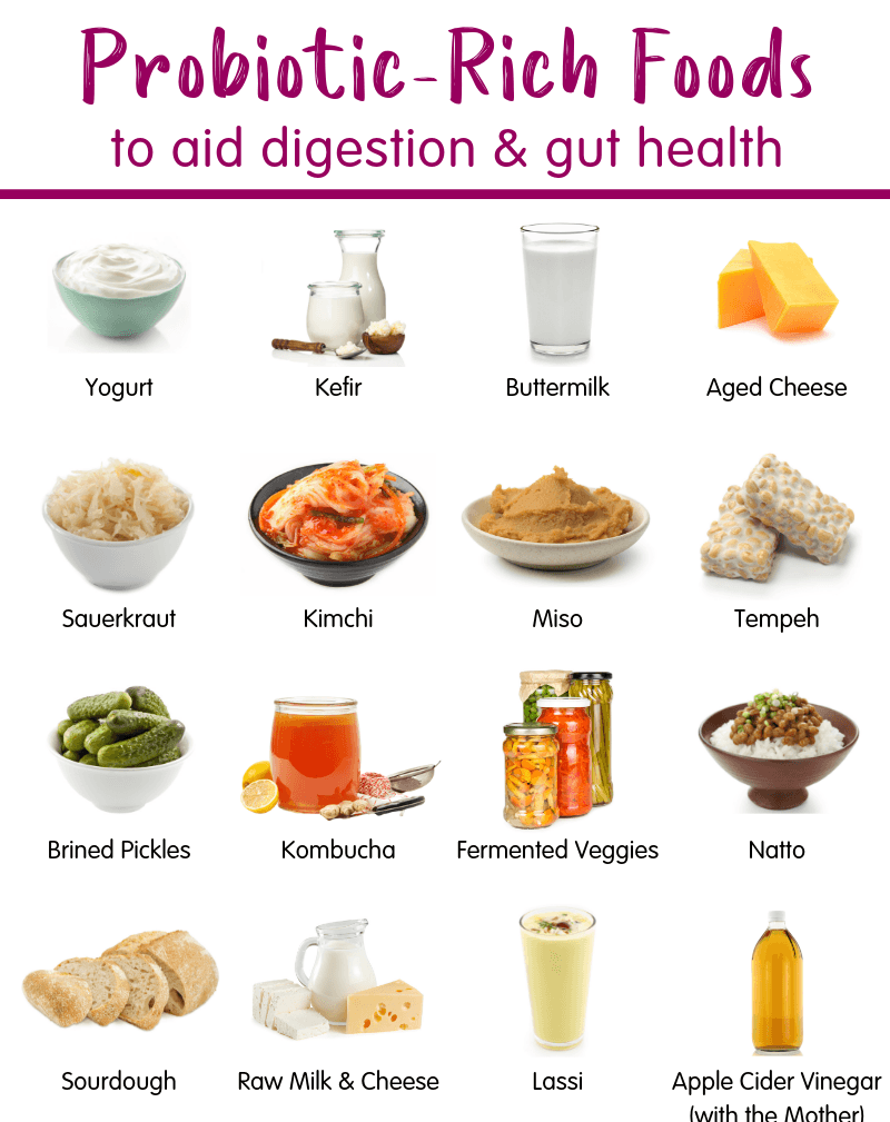 A Brief Details On Microorganisms Used In Food Beverage Industry Chef Ookul