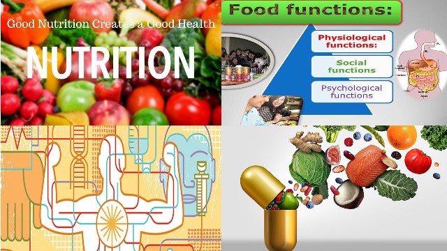 importance of food science and nutrition in society