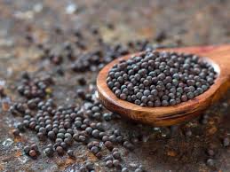 A Complete Details Of Mustard Seed Its Culinary Use Chef Ookul A Complete Details Of Mustard Seed Its Culinary Use Chef Ookul