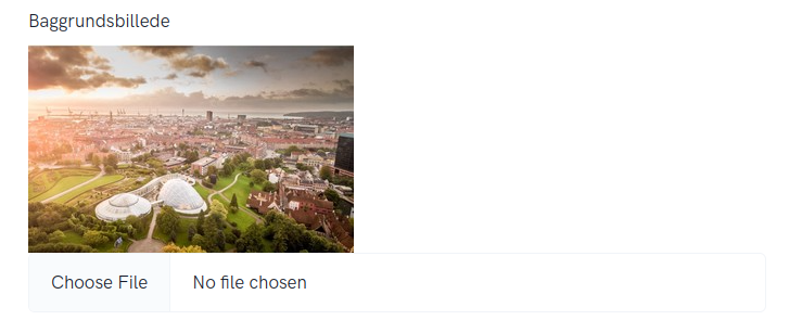 Eksempel på valg af billede på din hjemmeside