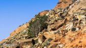 , Ultimate Freeride Line – Episode 1 : Utah  / Starring Nico Vink & Antoine Bizet in Utah
