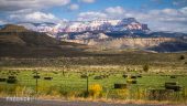 , Ultimate Freeride Line – Episode 1 : Utah  / Starring Nico Vink & Antoine Bizet in Utah