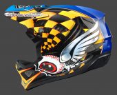 , 2014 Troy Lee Designs D3 Helmet &#8211; Carbon and Composite, Pinstripe, Signature Cam Zink and Aaron Gwin Models